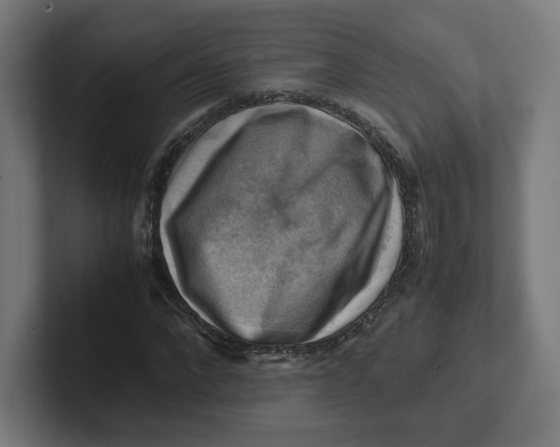 X0000102010872200808011140