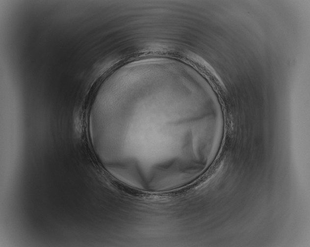 X0000102010874200808011140