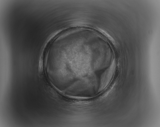 X0000102010877200808011140