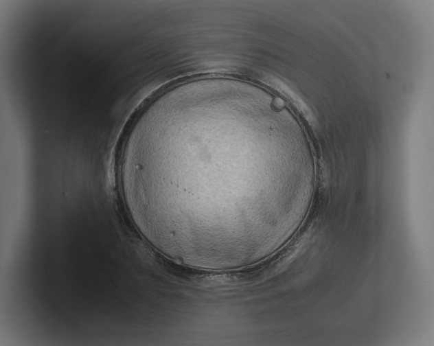 X0000102010883200808011140