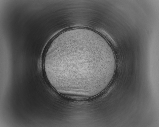 X0000102010884200808011140