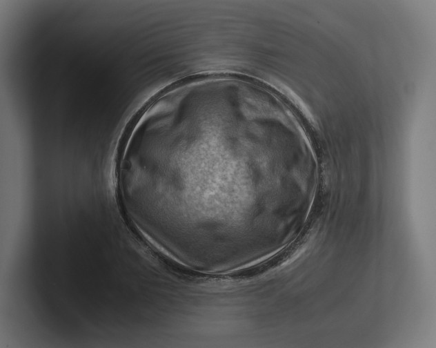 X0000102010885200808011140