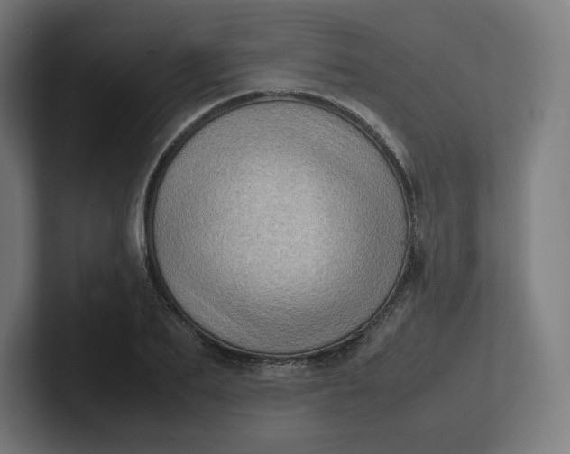 X0000102010887200808011140