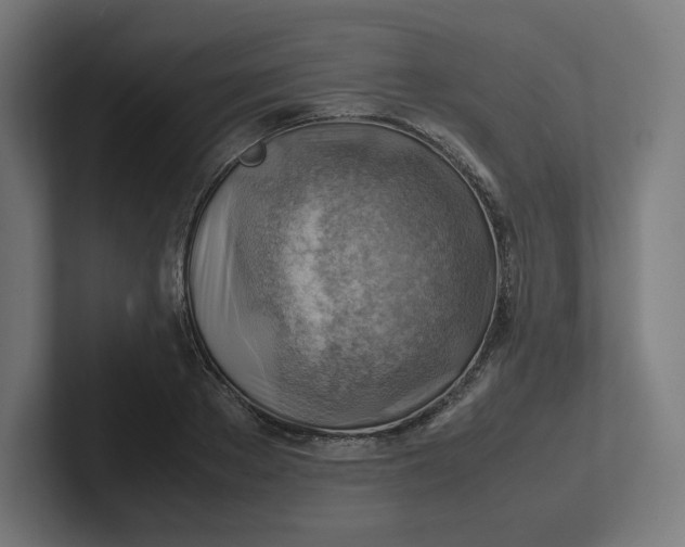 X0000102010889200808011140