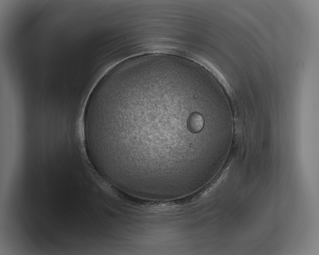 X0000102010891200808011140