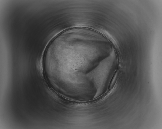 X0000102010892200808011140