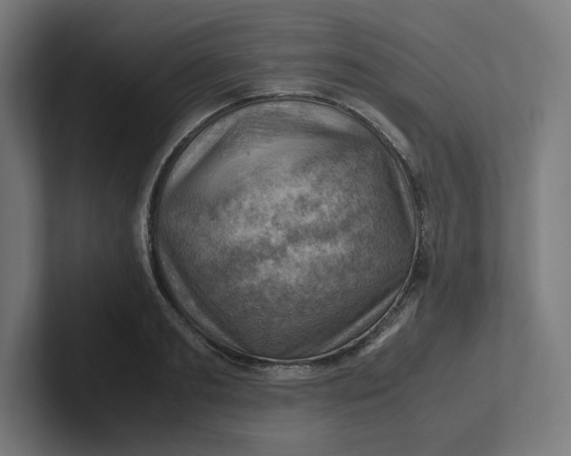 X0000102010893200808011140