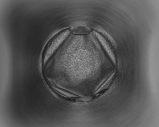 X0000102010894200808011140