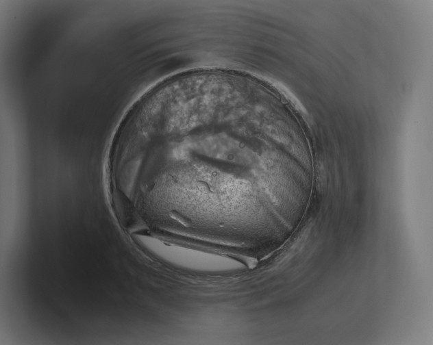 X0000102010895200808011140