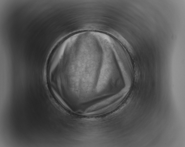 X0000102010896200808011140