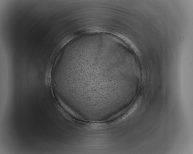 X0000102010897200808011140