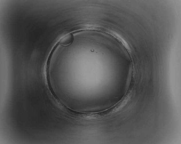 X0000102010899200808011140