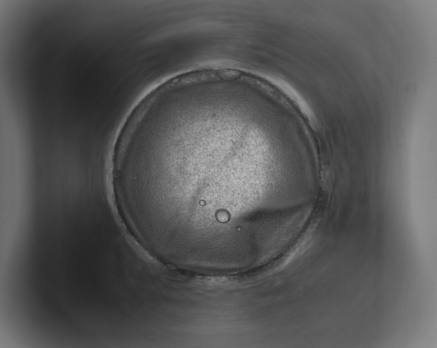 X0000102010903200808011140