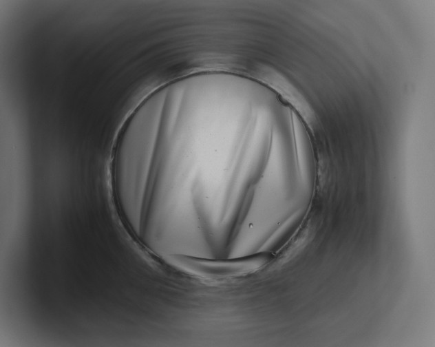 X0000102010906200808011140