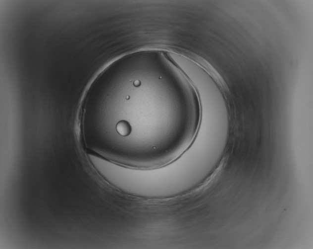 X0000102010908200808011140