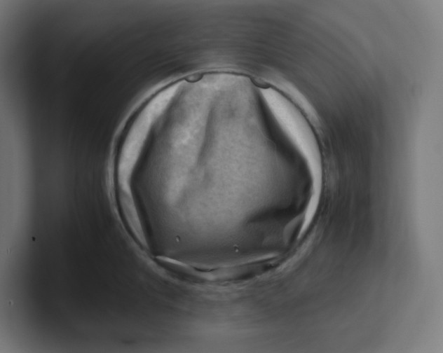 X0000102010910200808011140