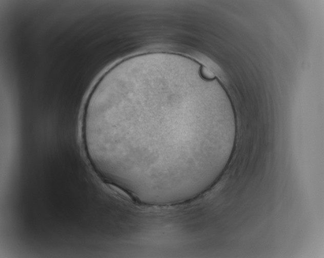 X0000102010912200808011140