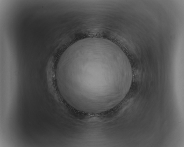 X0000102010913200808011139