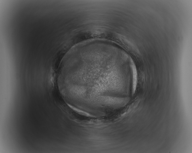 X0000102010914200808011139