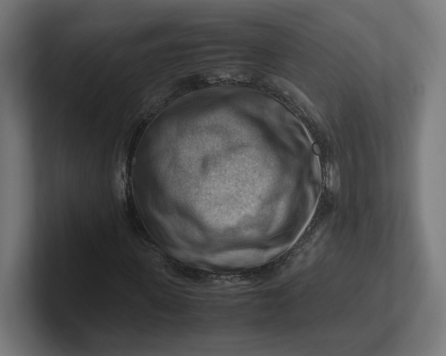 X0000102010915200808011139