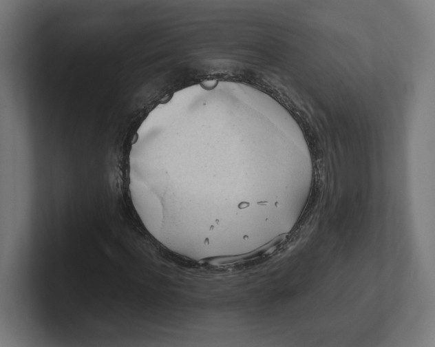 X0000102010916200808011139