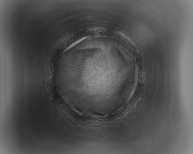 X0000102010917200808011139