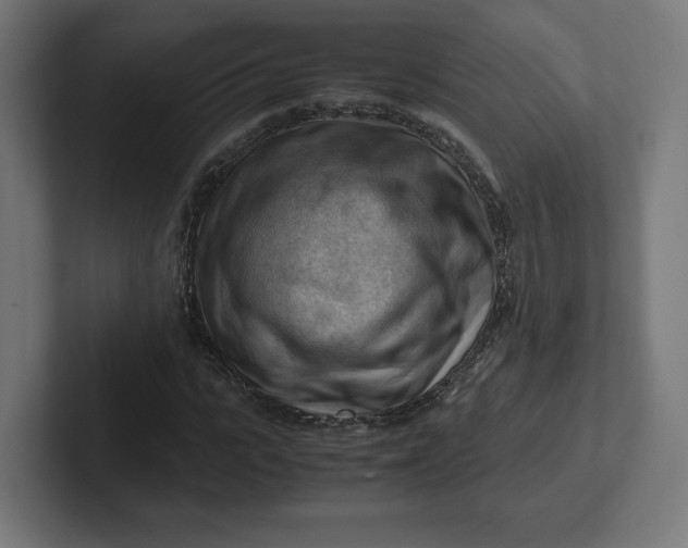 X0000102010919200808011139