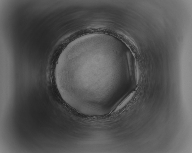 X0000102010920200808011139