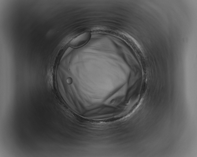 X0000102010921200808011139