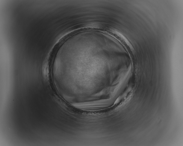 X0000102010923200808011139