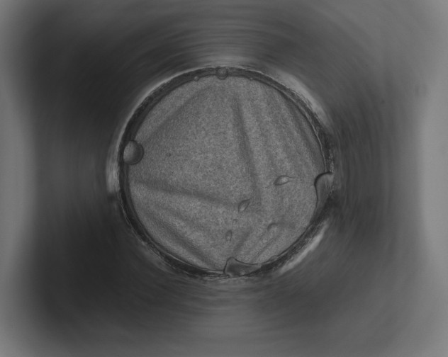 X0000102010924200808011139