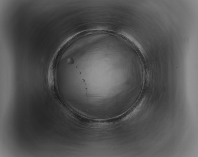 X0000102010925200808011139