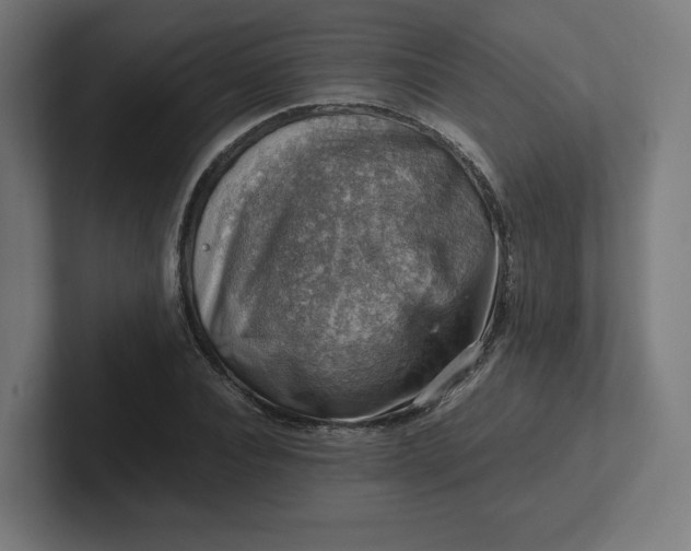 X0000102010928200808011139