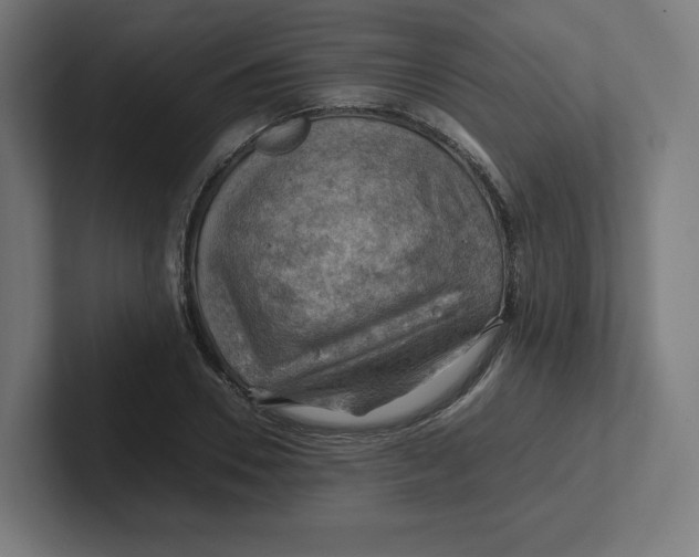 X0000102010930200808011139