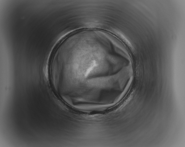 X0000102010932200808011139