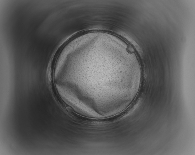 X0000102010933200808011139