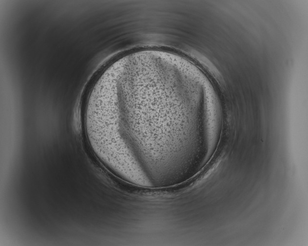 X0000102010934200808011139