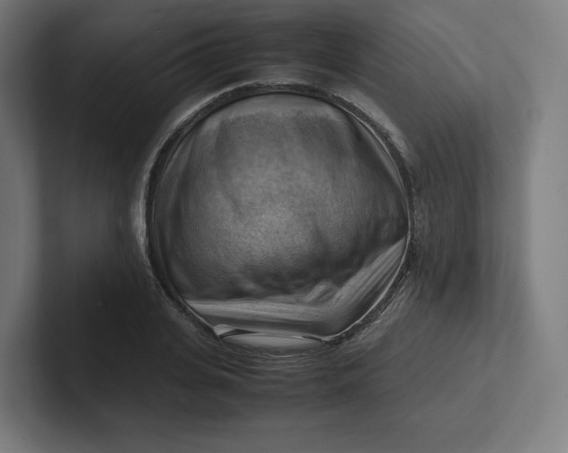 X0000102010935200808011139