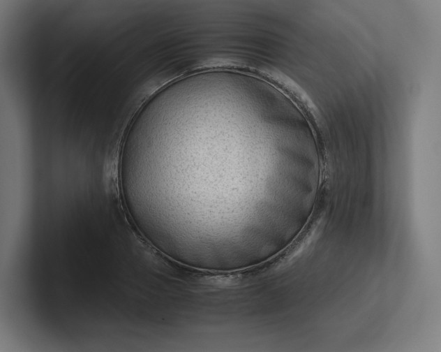 X0000102010937200808011139