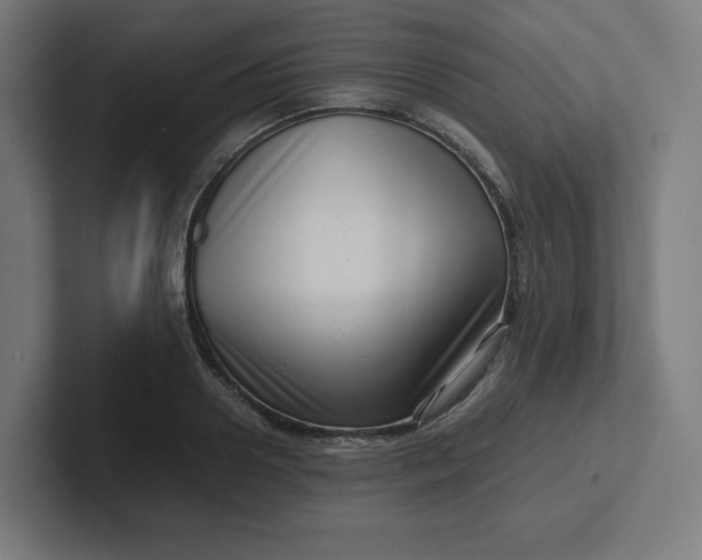 X0000102010938200808011139