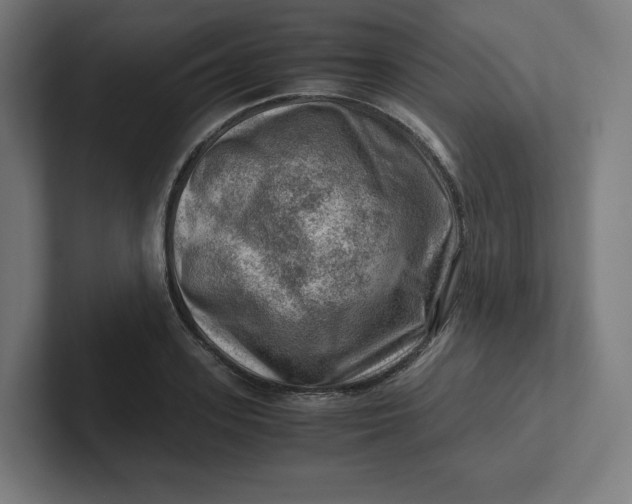 X0000102010939200808011139