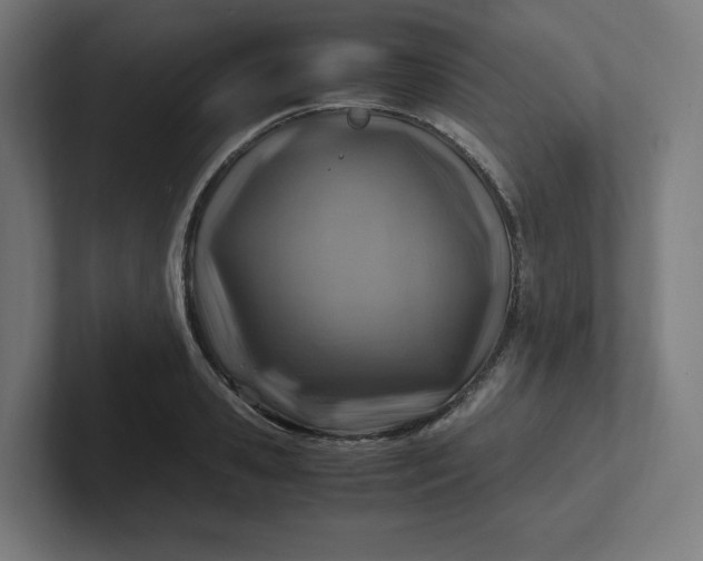 X0000102010941200808011139