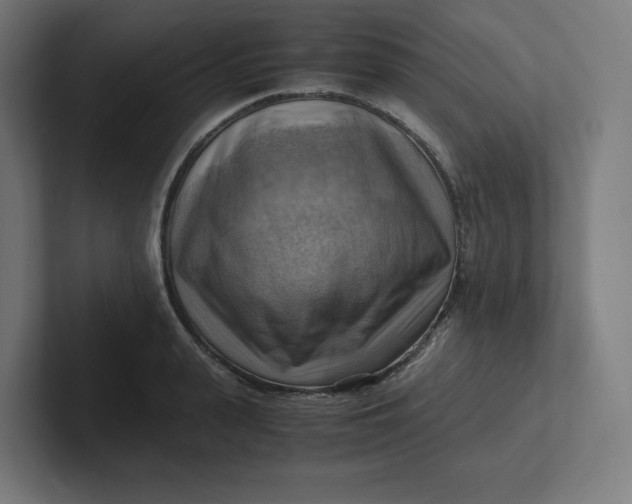 X0000102010943200808011140