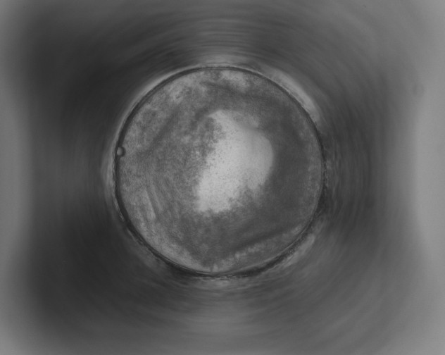 X0000102010948200808011140