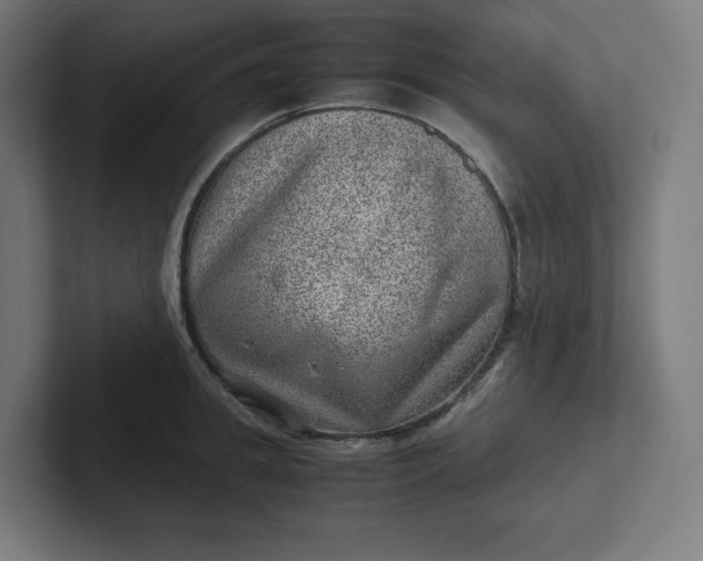 X0000102010949200808011140