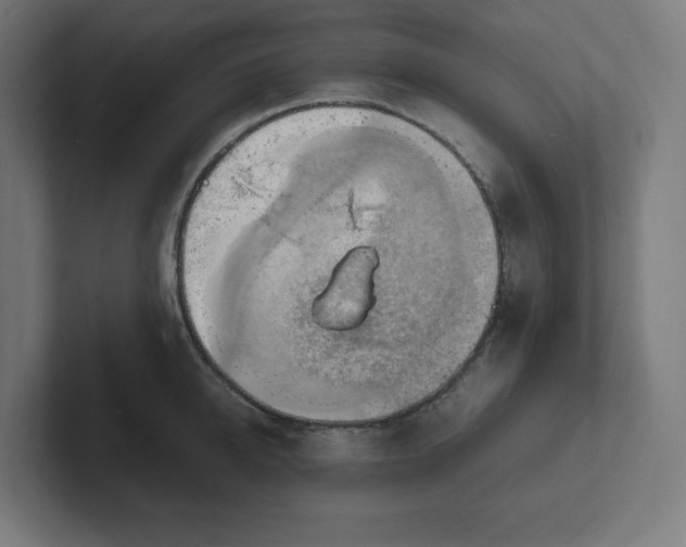 X0000102010950200808011140