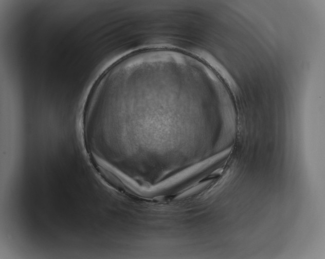 X0000102010951200808011140