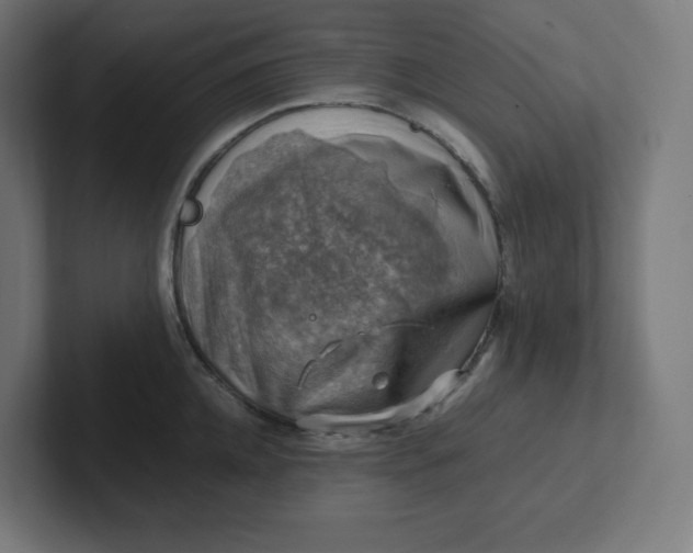 X0000102010952200808011140