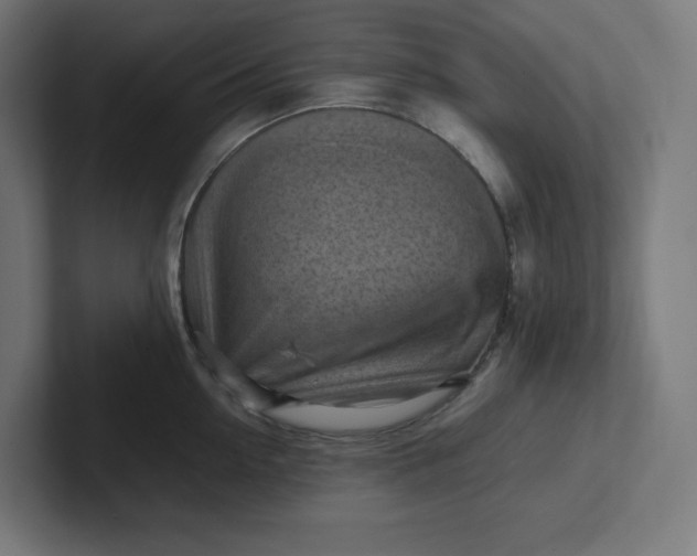 X0000102010954200808011140