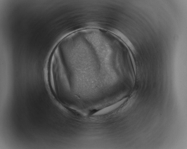 X0000102010955200808011140